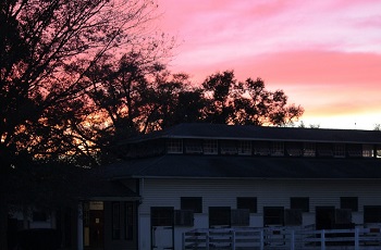 Stallion Barn Sunset